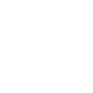 snöflinga ikon